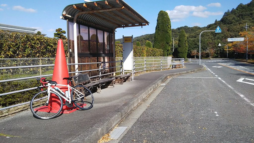 自転車 12km 消費 カロリー