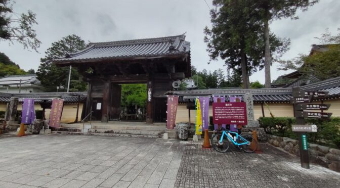 大芦-亀の甲-誕生時-道の駅 116.94km