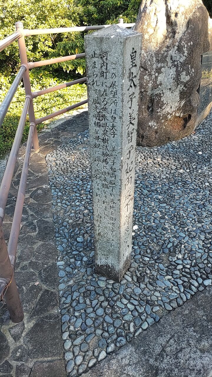 展望所