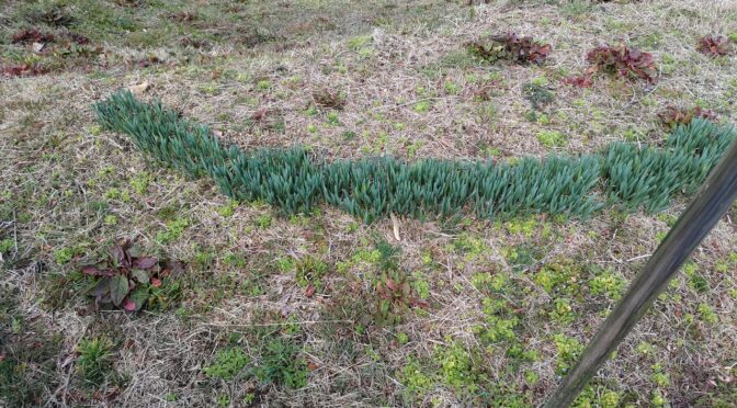 竜天キャンプ場前